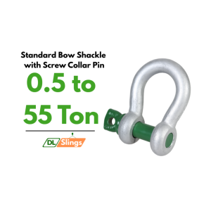 Standard Bow Shackle with Screw Collar Pin